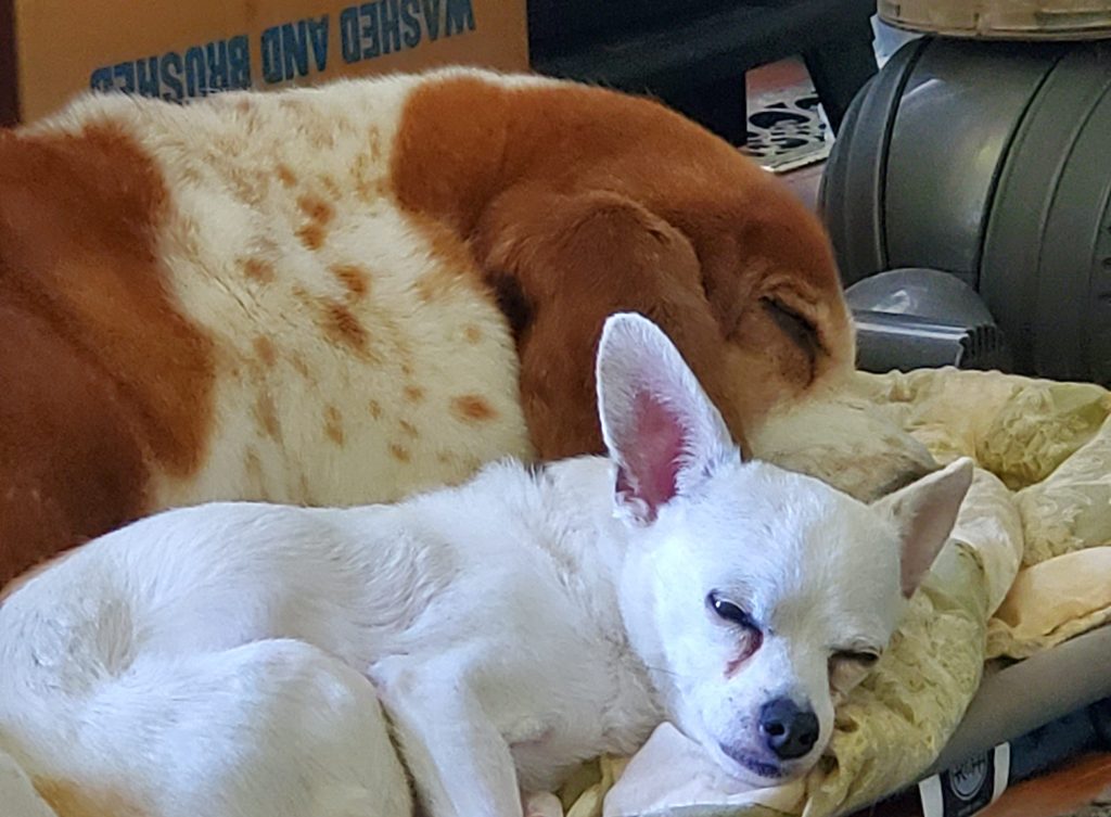 Our Story: The&nbsp;earworm.