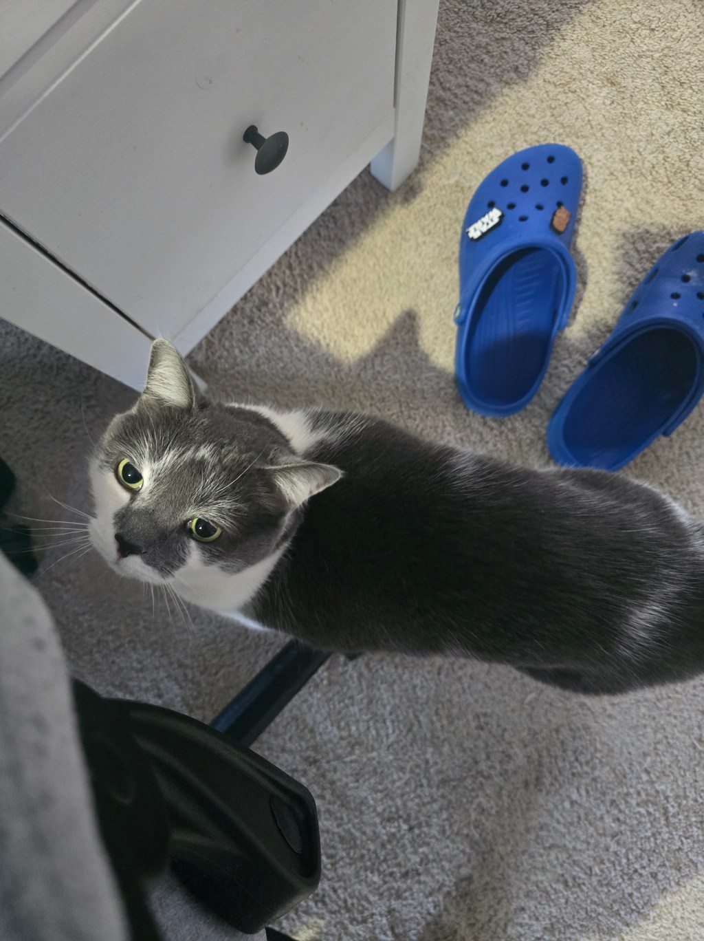 Do They Feel it Like I&nbsp;Do?