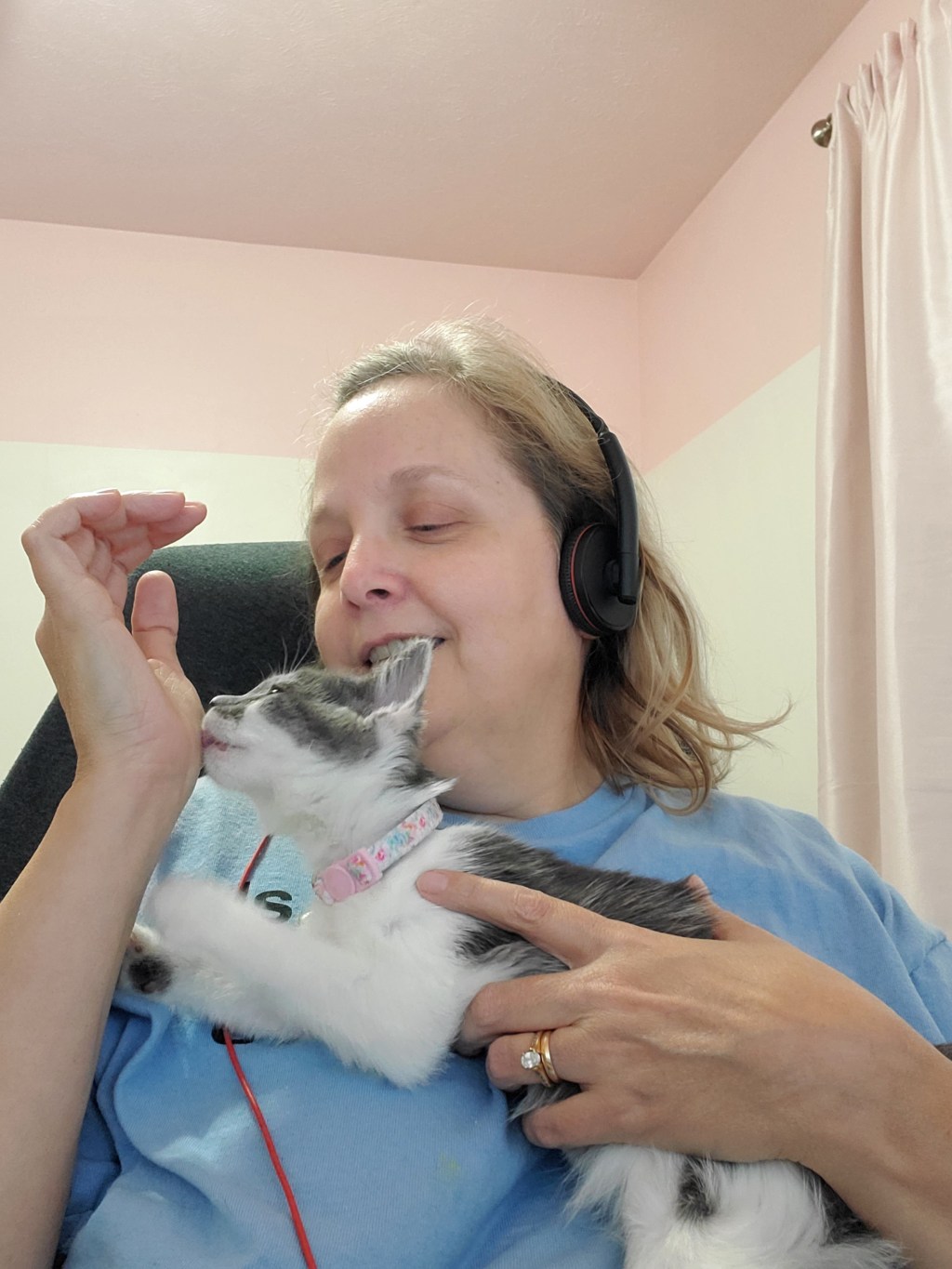 Talking Cats and Ghost Stories in&nbsp;Walmart.